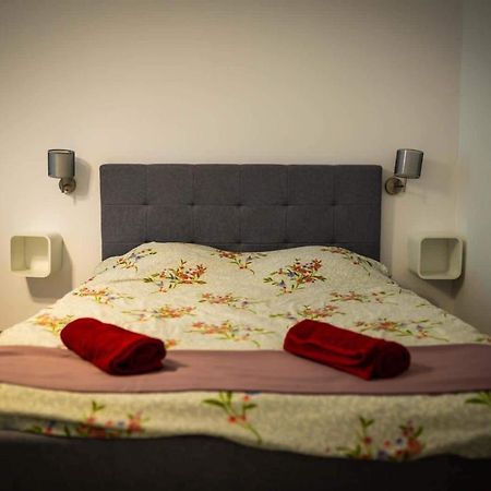 The Nest@Pinehouse Apartment Brasov Ngoại thất bức ảnh