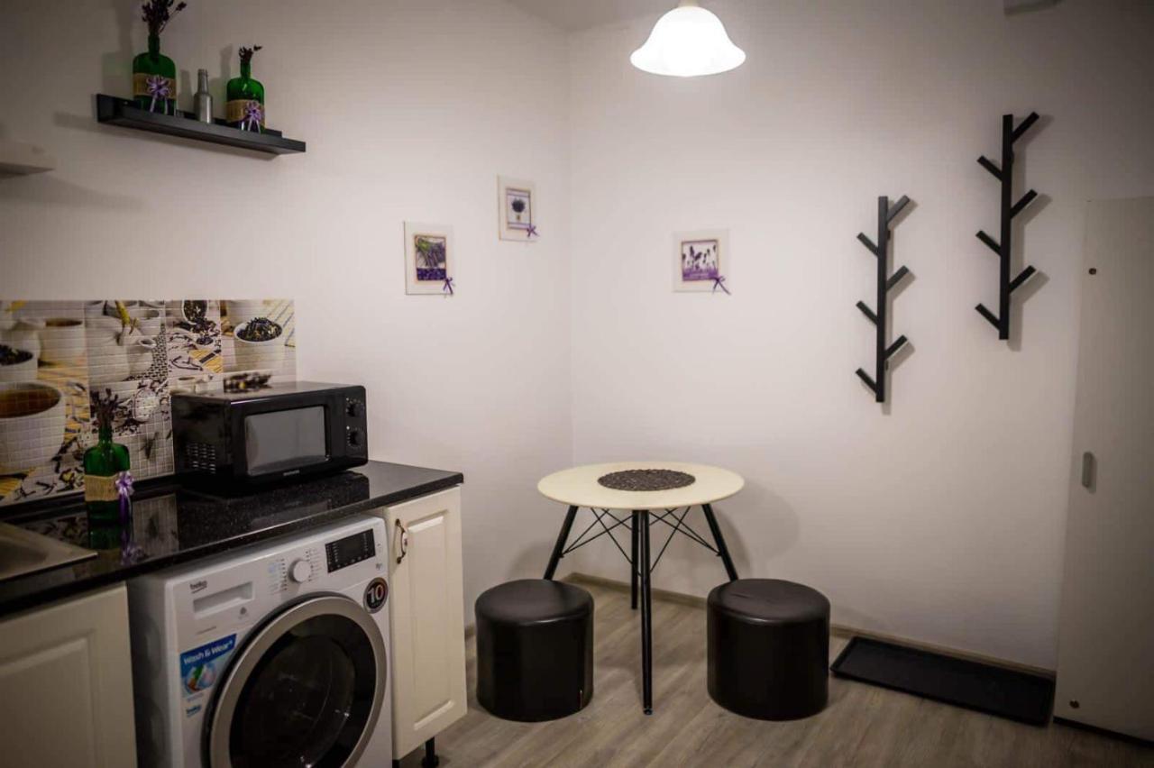 The Nest@Pinehouse Apartment Brasov Ngoại thất bức ảnh